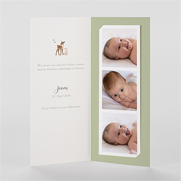 Geburtskarte fröhliche gefährten - Vue 2