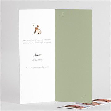 Geburtskarte fröhliche gefährten - vue 3