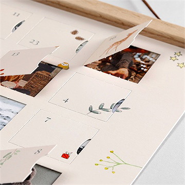 Adventskalender Waldleben - Vue 2