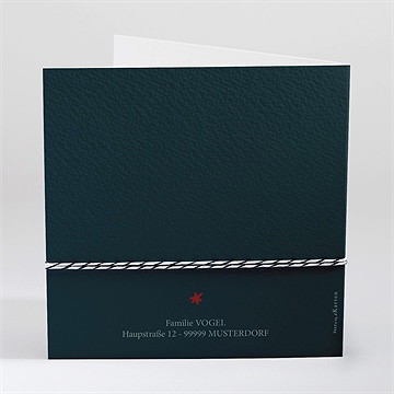 Weihnachtskarte kleines rotkehlchen - Vue 3