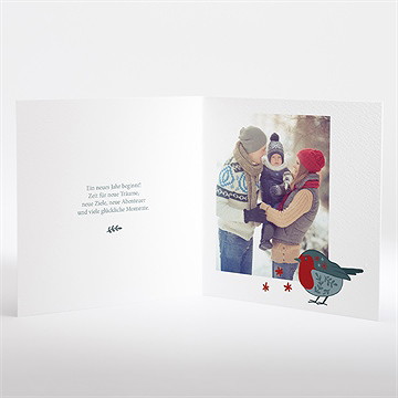 Weihnachtskarte kleines rotkehlchen - Vue 2