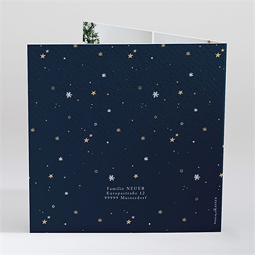 Weihnachtskarte Schöne Scheeflocken - vue 3