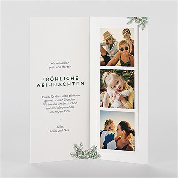 Weihnachtskarte weihnachtszweig - vue 2