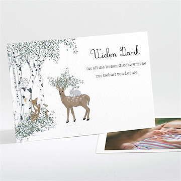 Dankeskarte Geburt waldlichtung