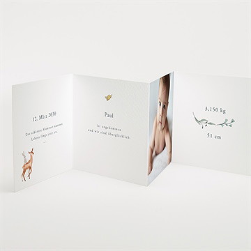 Geburtskarte Waldtierchen - Vue 3