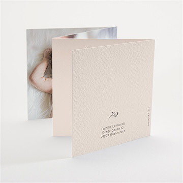 Geburtskarte Kleiner Bär - Vue 3