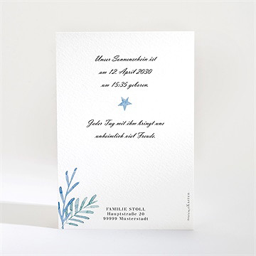 Geburtskarte Wirbelwind - Vue 2