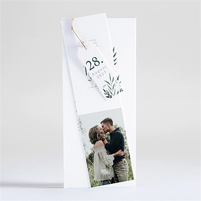 Hochzeitseinladung olivenzweig - dreiteilig