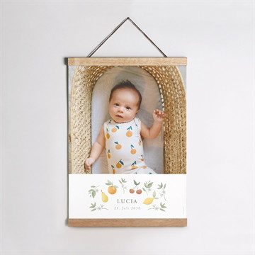 Geburtsposter frühlingspoesie