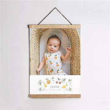 Geburtsposter Frühlingspoesie