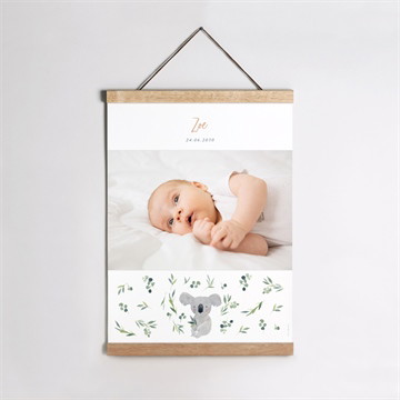 Geburtsposter koalaliebe