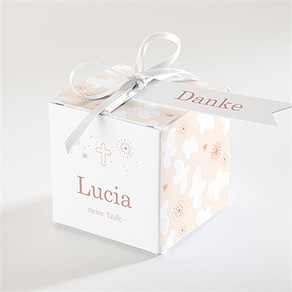 Geschenkbox Taufe taubenflug