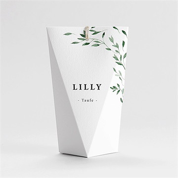 Geschenkbox Taufe naturbezogen - schachtel - Vue 4