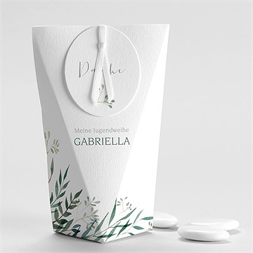 Geschenkbox Jugendweihe Grüner Blätterzweig -Schachtel