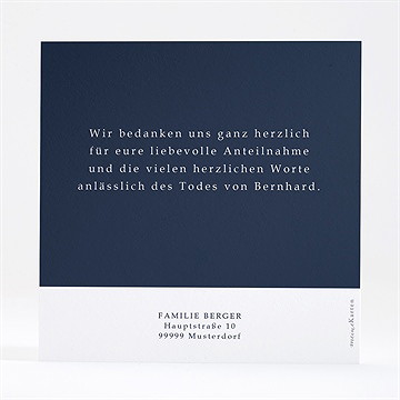 Trauerdanksagung sein schönstes lachen - silber - vue 4