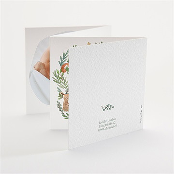 Geburtskarte Tanz Der Waldtiere (Junge) - vue 3