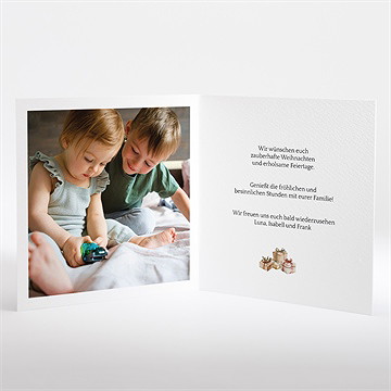 Weihnachtskarte norwegerpullis - vue 2