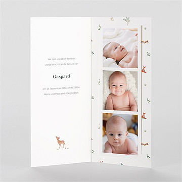 Geburtskarte kleine waldtiere -fotostreifen - vue 2