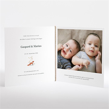 Geburtskarte kleine zwillinge - vue 2