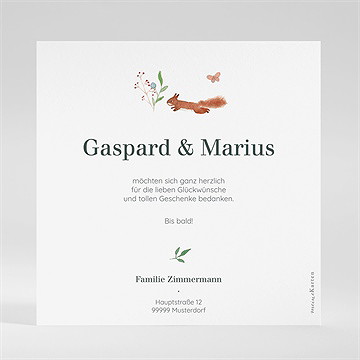 Dankeskarte Geburt kleine zwillinge - vue 2