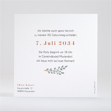 Geburtstagseinladung Birthday Party - vue 2