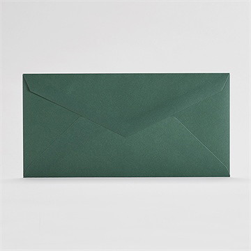 Briefumschläge grün 22x11cm (standard quer)