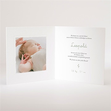 Geburtskarte eichhörnchen - prägung - vue 3