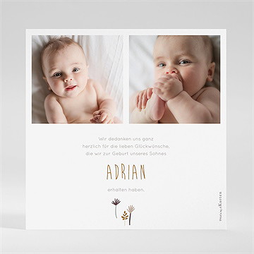 Dankeskarte Geburt dinos - vue 2