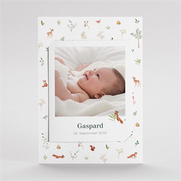 Vorder- und Rückseite - Hoch