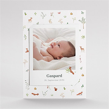 Geburtskarte kleine waldtiere - duo