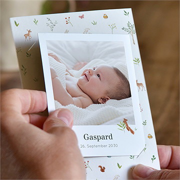 Geburtskarte kleine waldtiere - duo - vue 2