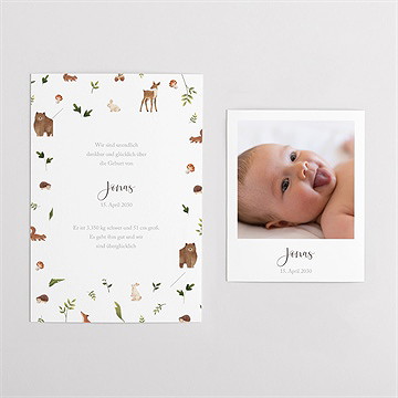 Geburtskarte fröhliche gefährten - duo - vue 4