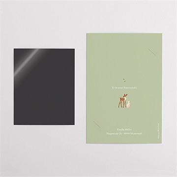 Geburtskarte fröhliche gefährten - duo - vue 5