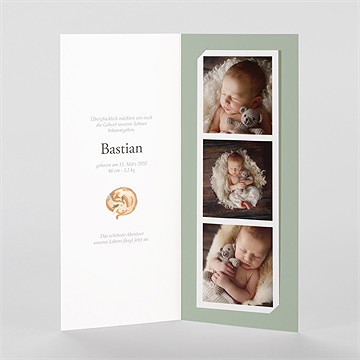 Geburtskarte kleiner drache - vue 2