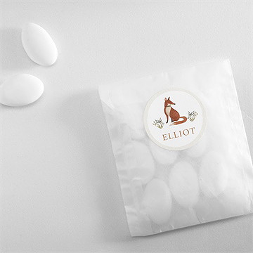 Aufkleber Taufe fuchs - vue 4