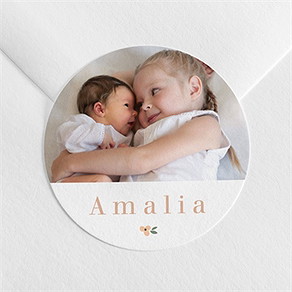 Sticker Geburt meine kleine schwester