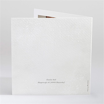 Weihnachtskarte weihnachten - vue 3