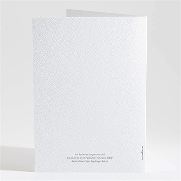 Kirchenheft Taufe zwillingsillustrationen - vue 4