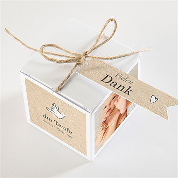 Geschenkbox Taufe zwillingsillustrationen - vue 3