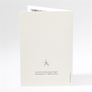 Hochzeitseinladung wintermärchen - vue 3