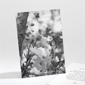 Beileidskarte Trauer In Gedenken