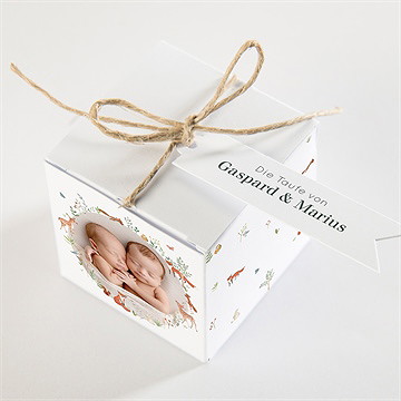 Geschenkbox Taufe Wald - vue 3