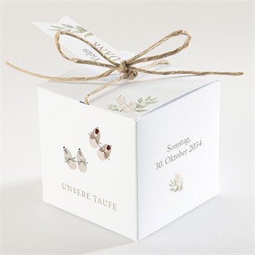 Geschenkbox Taufe Zwillingsbody - vue 2