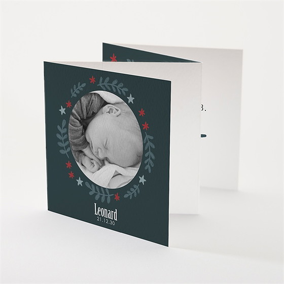 Geburtskarte Rotkehlchen