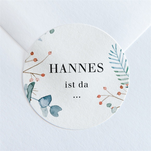 Sticker Geburt Blätterrahmen ref.N360194