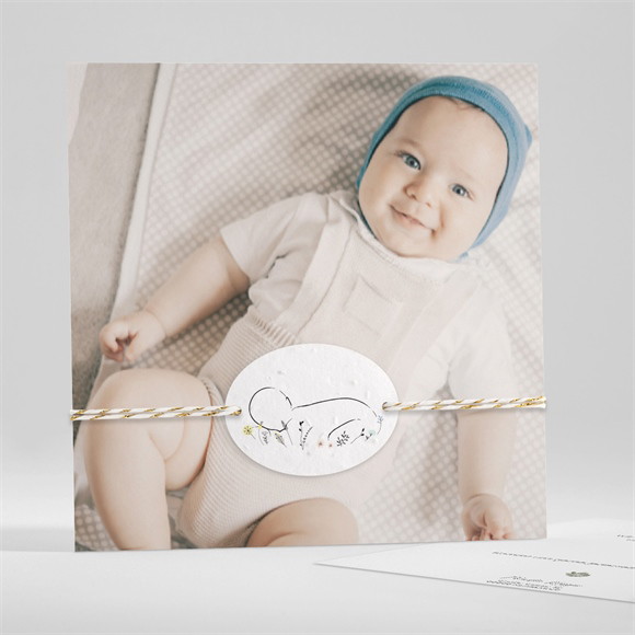 Geburtskarte Präsentation - Saatpapier ref.N351297