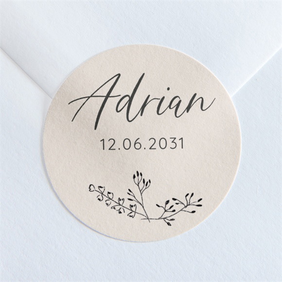 Sticker Geburt Kleiner Bär ref.N360271