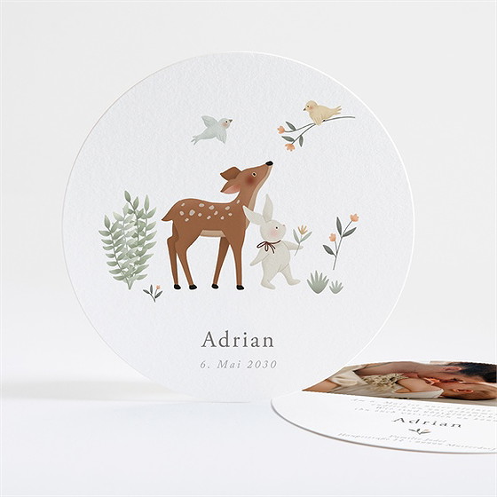 Geburtskarte Kleine Gefährten