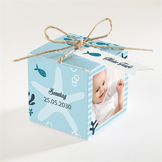 Geschenkbox Taufe Fischschwarm