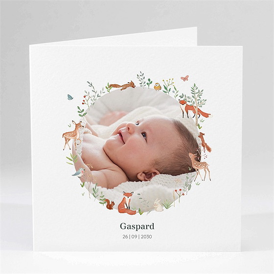Geburtskarte Kleine Waldtiere